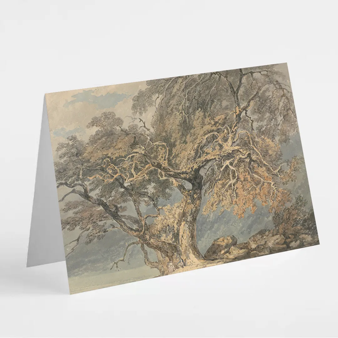 Turner Collection Greeting Cards Set of 12 - Image 13