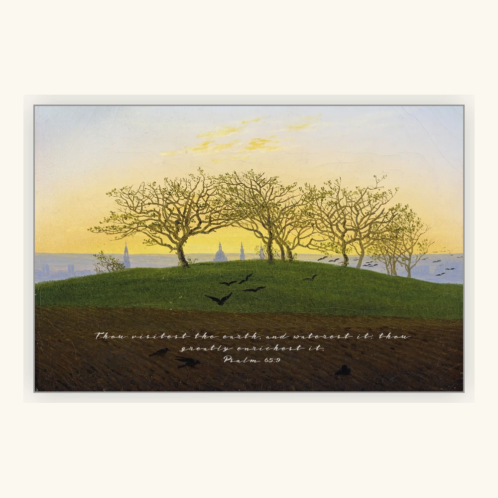 The Meadow of Morning Light Framed Preview