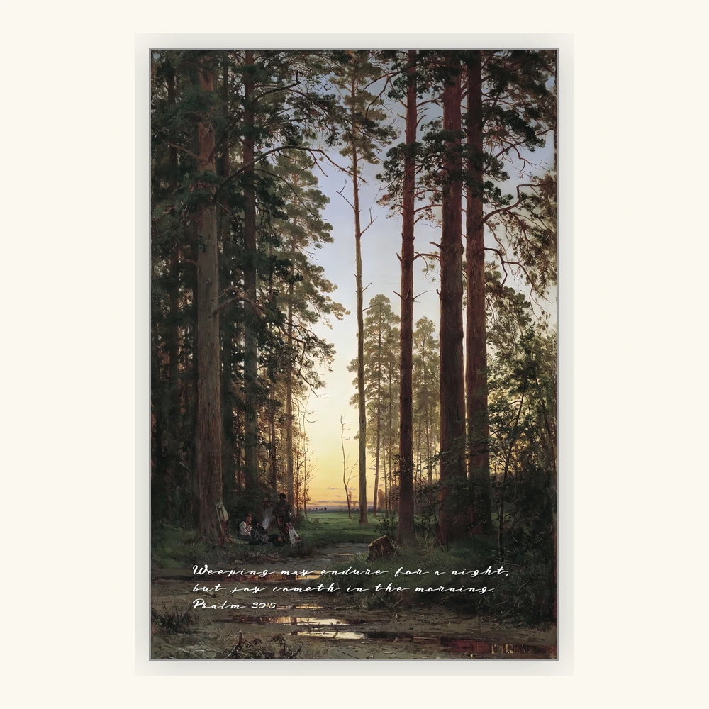 Morning Light Between the Pines Framed Preview