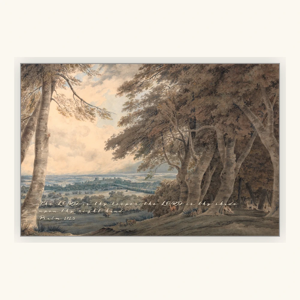 The Shelter of Ancient Trees Framed Preview
