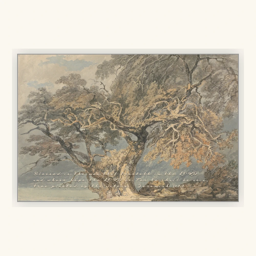 The Old Tree in the Mist Framed Preview